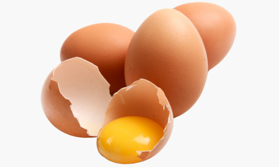 Choline - oeuf